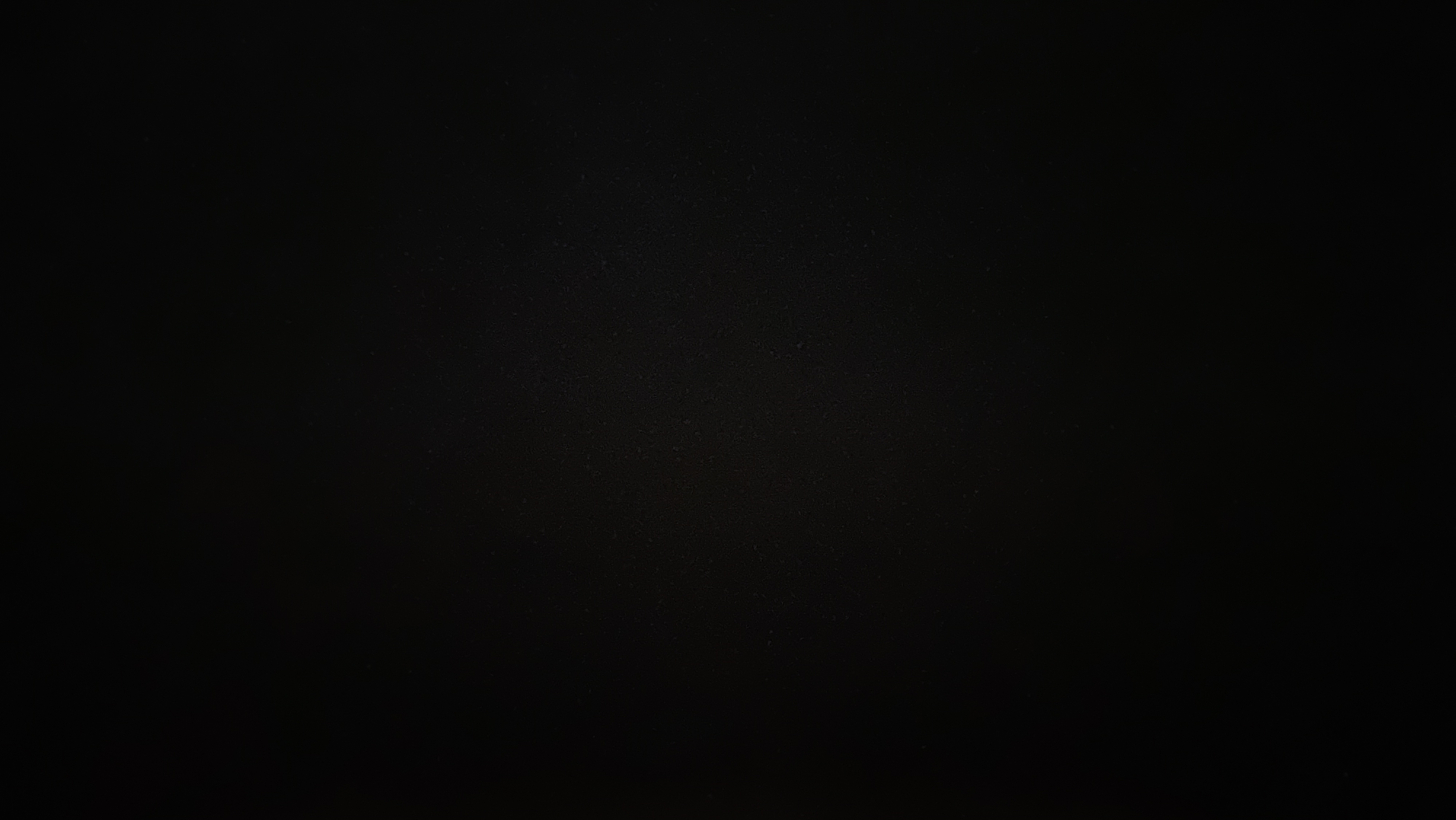 Dalmata 
