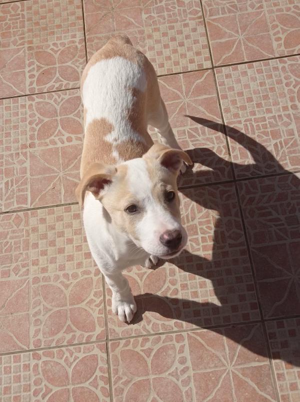 Perla, Piccola E Già In Un Box