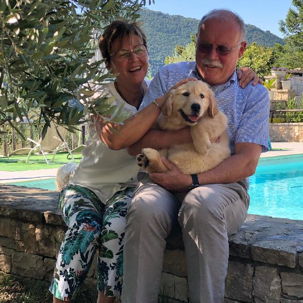 CUCCIOLO GOLDEN RETRIEVER - media 5