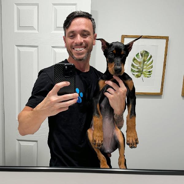 Razza: Doberman Pinscher Fascia d'età: Cuccioli Sesso: Maschio e femmina