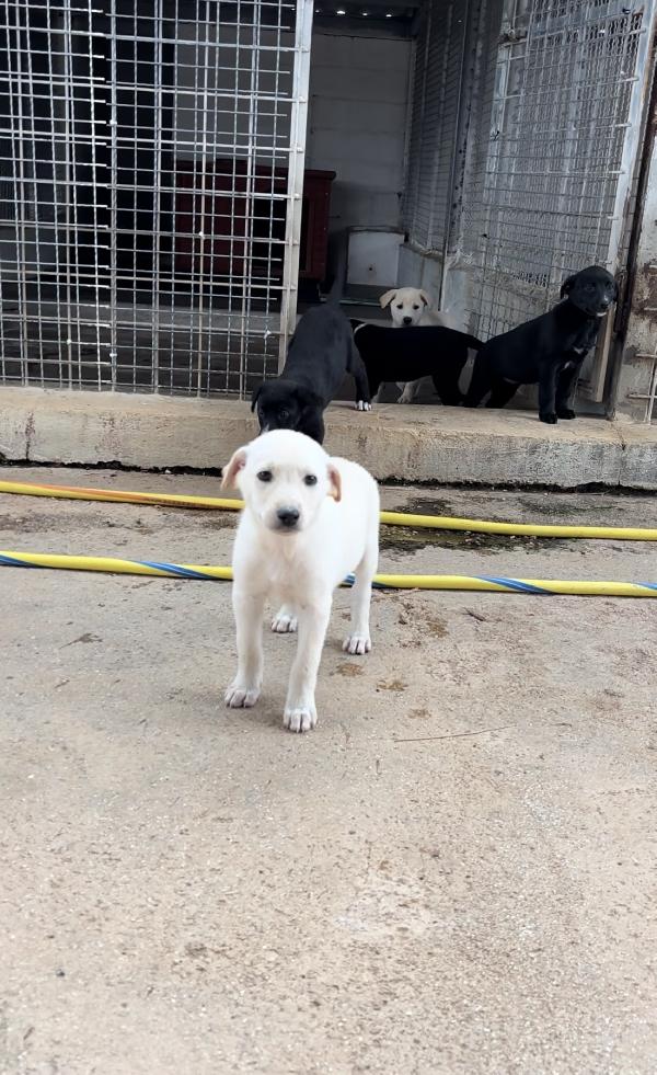 Nettuno in cerca di una speranza 🍀 Foto 8