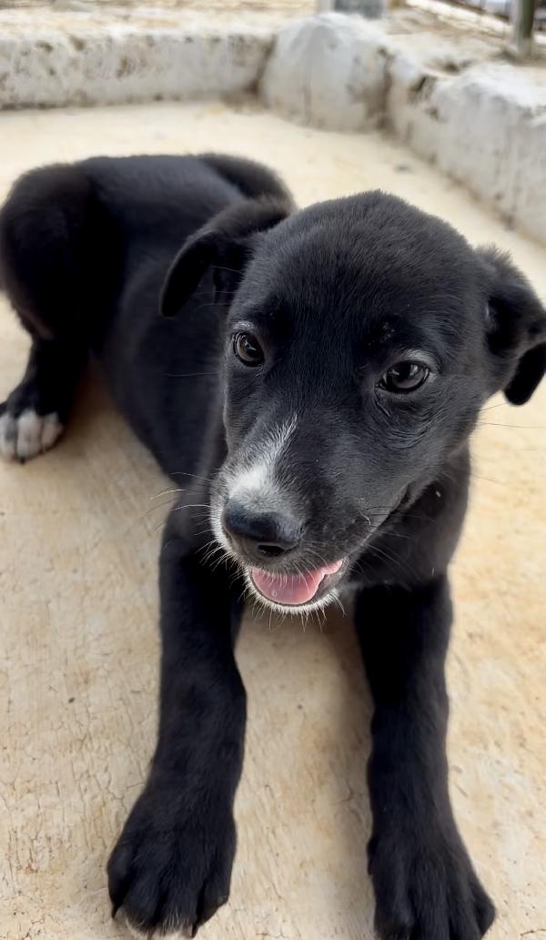 È così piccola Foto 2