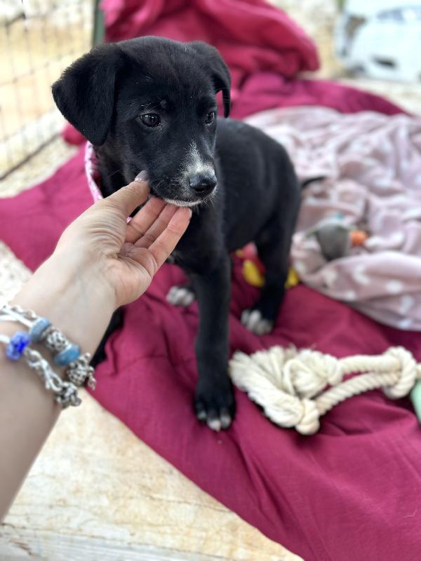 È così piccola Foto 6