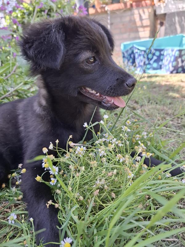 Keira 💕 Foto 2