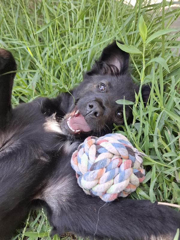 Keira 💕 Foto 3