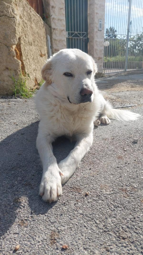 MAX Foto 2