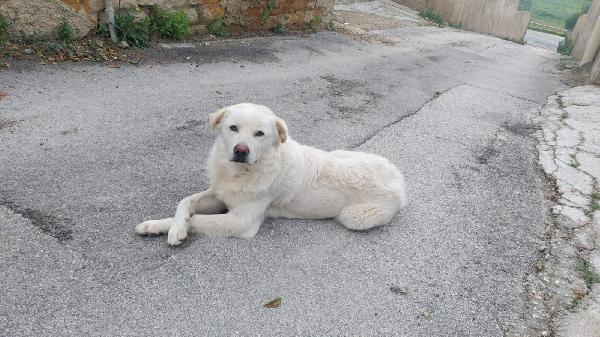 MAX Foto 3