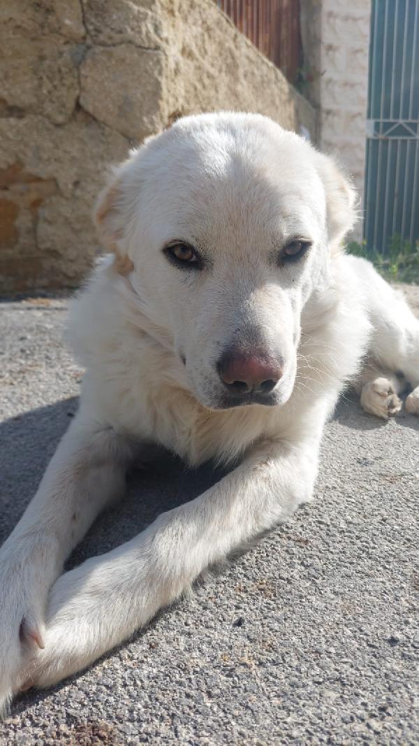 MAX Foto 4