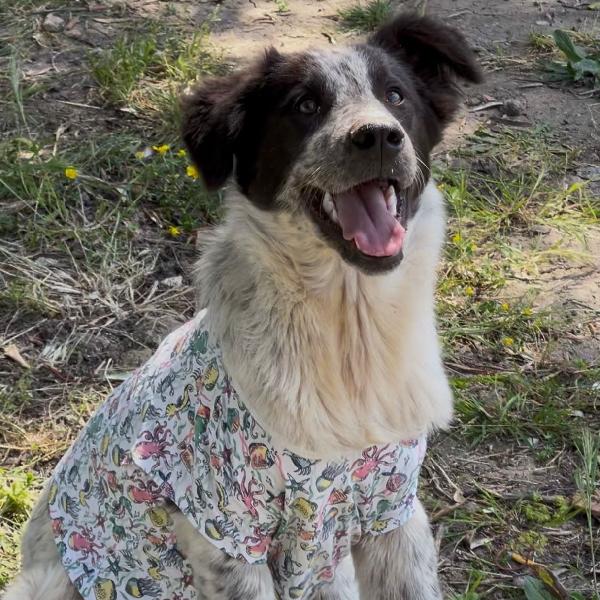 🌸Serena🌸cerca una MAMMA♥️ Foto 2
