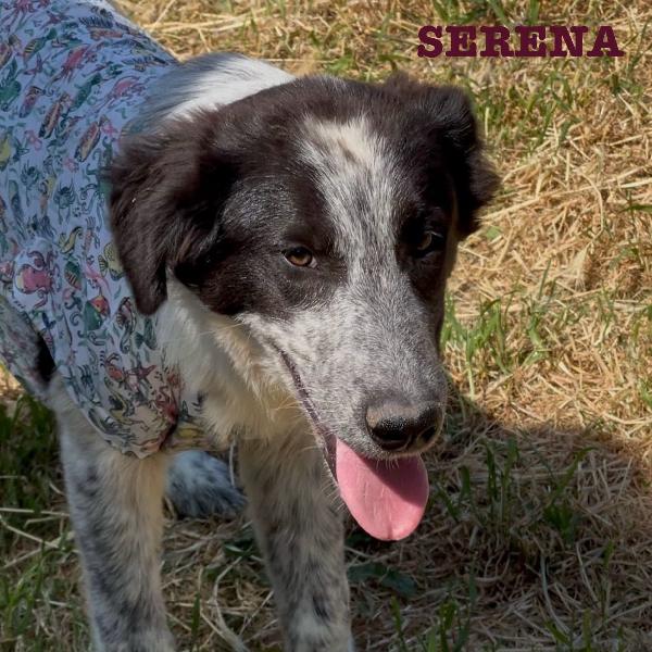 🌸Serena🌸cerca una MAMMA♥️ Foto 3