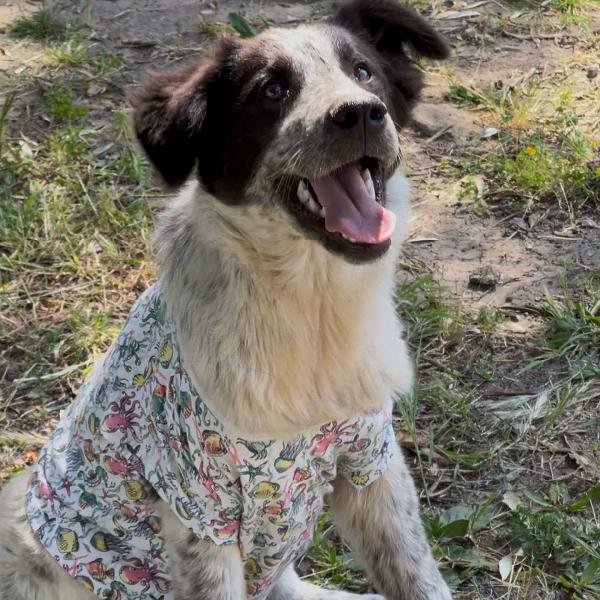 🌸Serena🌸cerca una MAMMA♥️ Foto 5