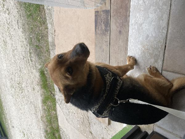 Thor Foto 3