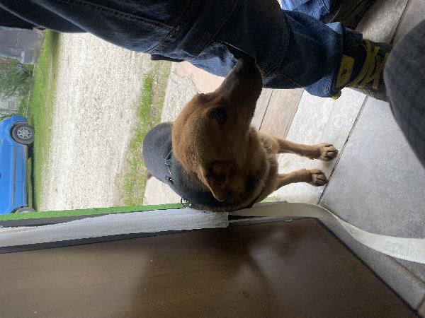Thor Foto 4