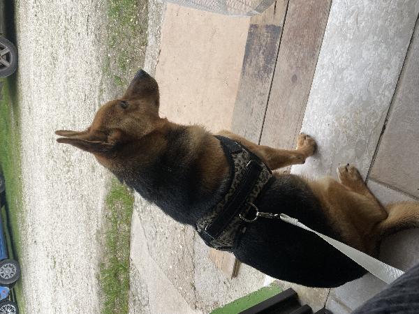 Thor Foto 5