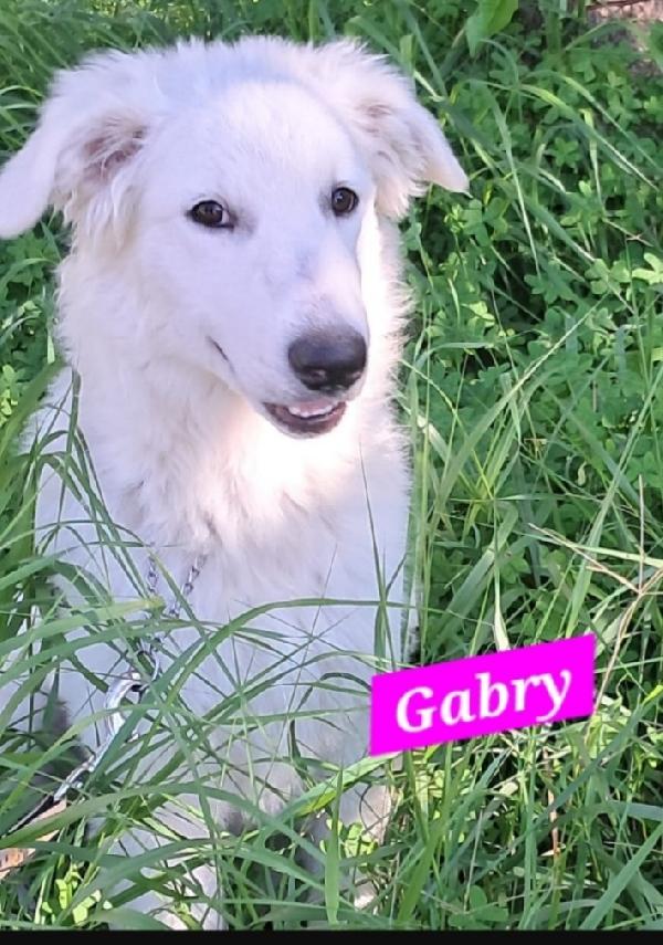 Gabry bellissima 1anno possibile nessuno la noti? Foto 4