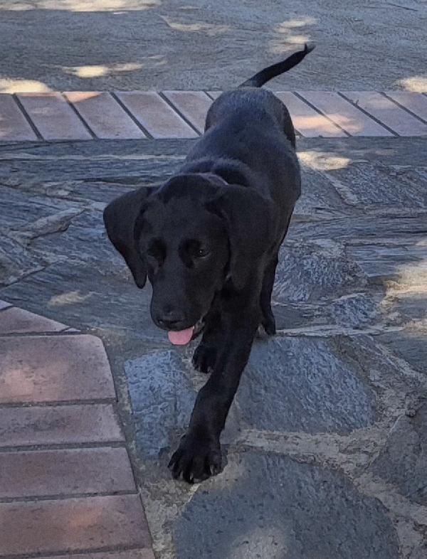 SIBILLA ASPETTA UNA MAMMA  Foto 3