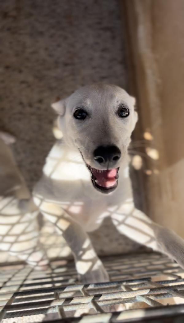 Nettuno è ancora qui 💔 Foto 3