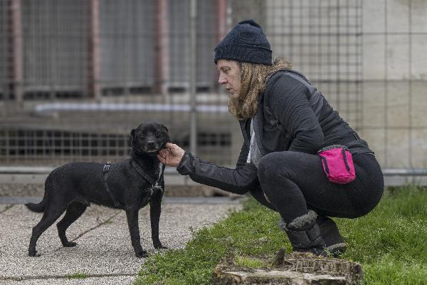 PORTHOS, dolce e timido meticcio in adozione Foto 3