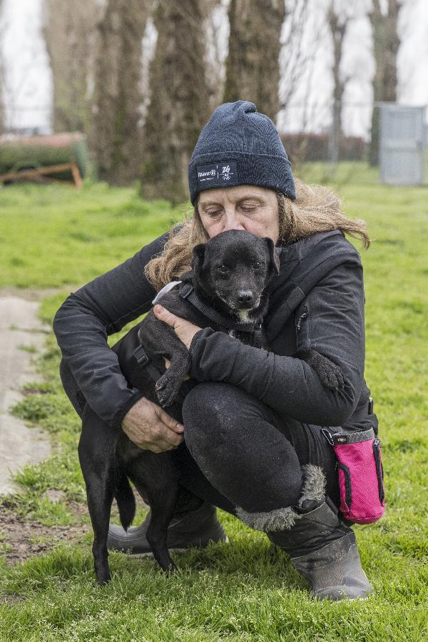 PORTHOS, dolce e timido meticcio in adozione Foto 5