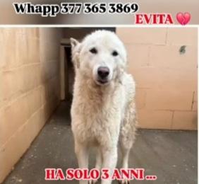 Evita 3Anni Finita In 1Megacanile! Salvatela