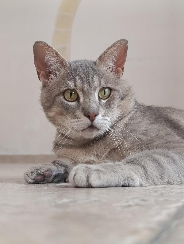 OSCAR 💚 Foto 2