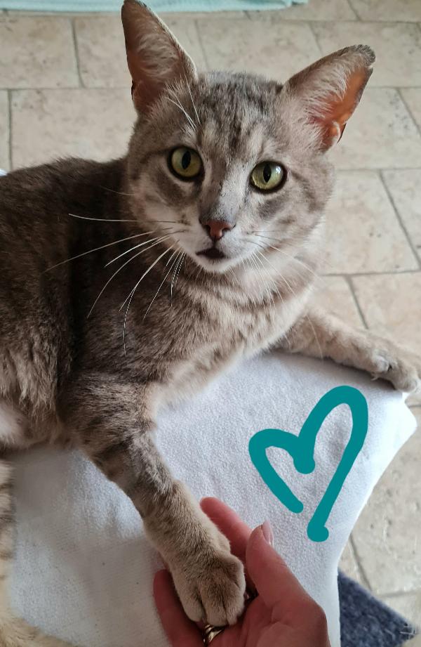 OSCAR 💚 Foto 4