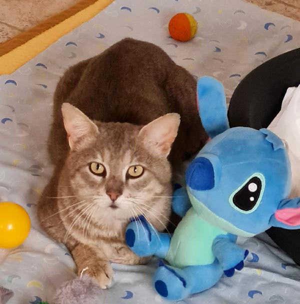 OSCAR 💚 Foto 5