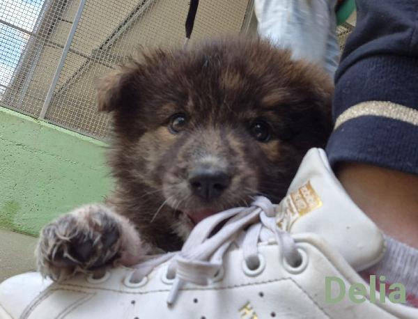 Delia Foto 2