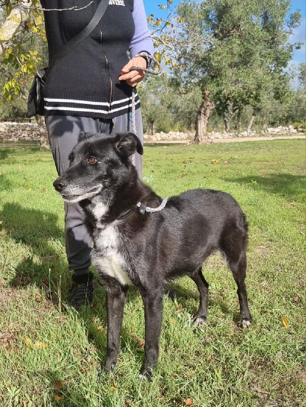 Crik E Crok Fratello E Sorella