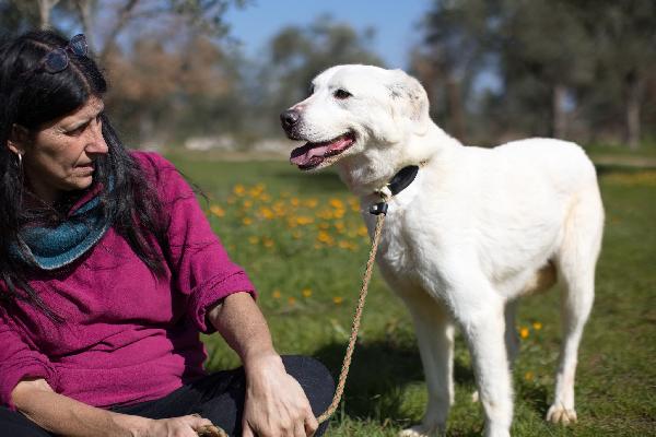 Ellen, un cane tutto da scoprire Foto 5