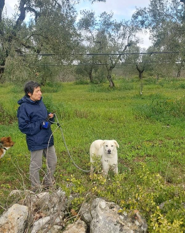 Ellen, un cane tutto da scoprire Foto 6