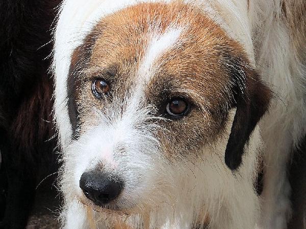 Ginny Foto 3