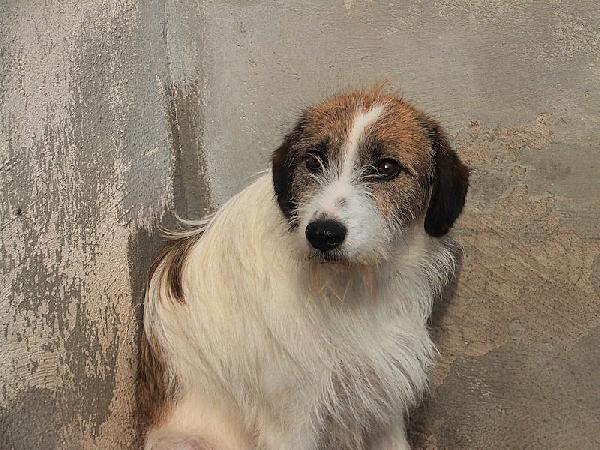 Ginny Foto 4