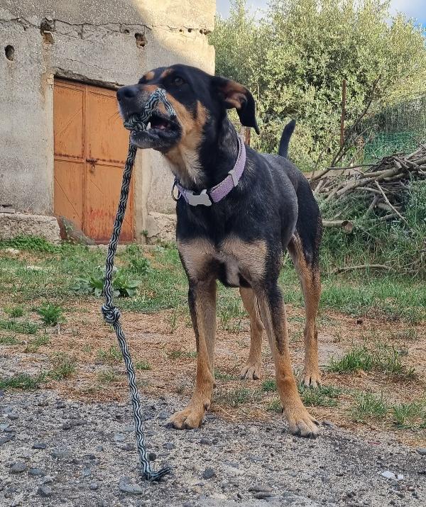 MILLY Foto 2