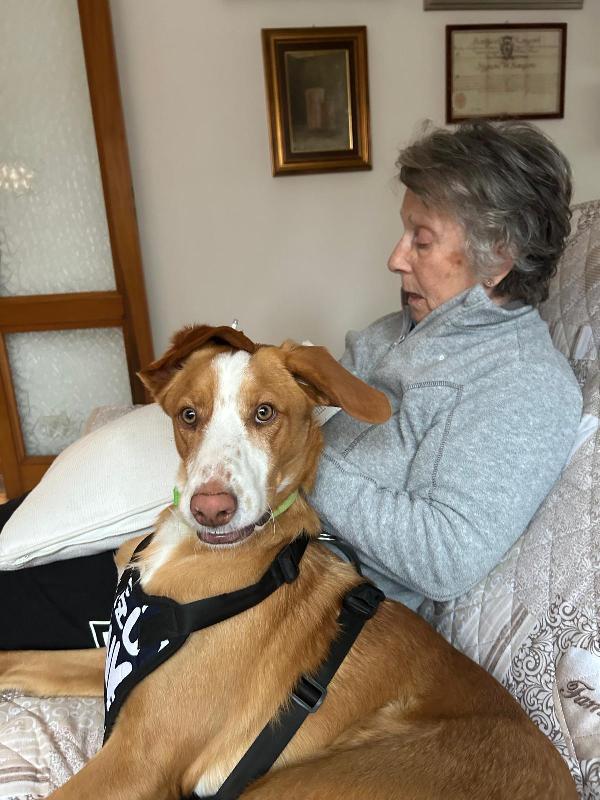 SOS STALLO ADOZIONE EDO SPLENDIDO GIOVANE CAGNOLINO  Foto 10