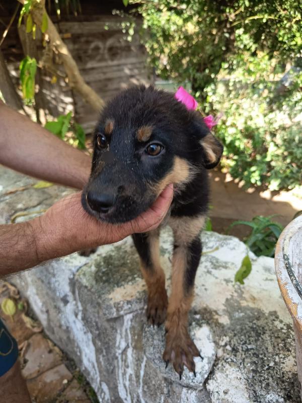 UVETTA ASPETTA UNA MAMMA  Foto 2