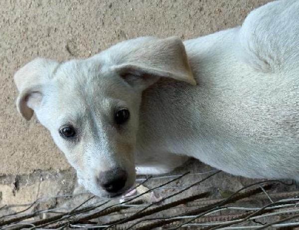 ☺️BALÚ☺️ Foto 2