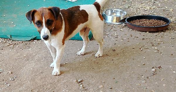 2 Maschietti 18Mesi E 2Anni Kg 6/5