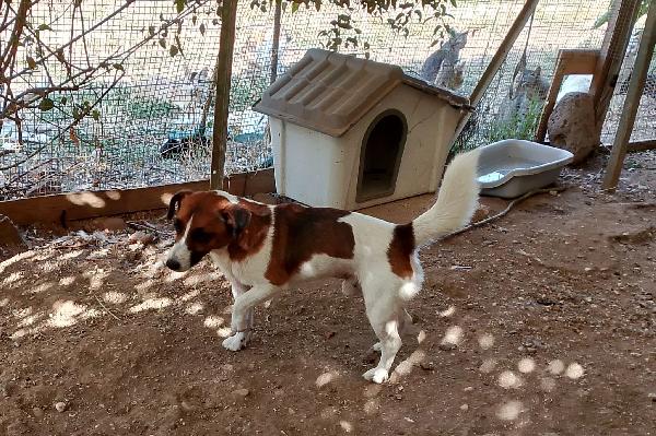 2 Maschietti 18mesi e 2anni kg 6/5 Foto 2