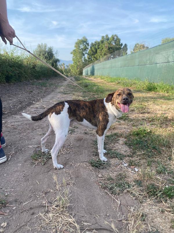 2 Maschietti 18mesi e 2anni kg 6/5 Foto 3