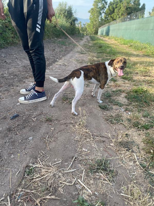 2 Maschietti 18mesi e 2anni kg 6/5 Foto 5