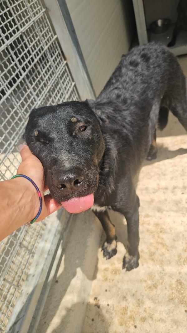 Carlo: timido, dolce, socievole, riservato  Foto 12