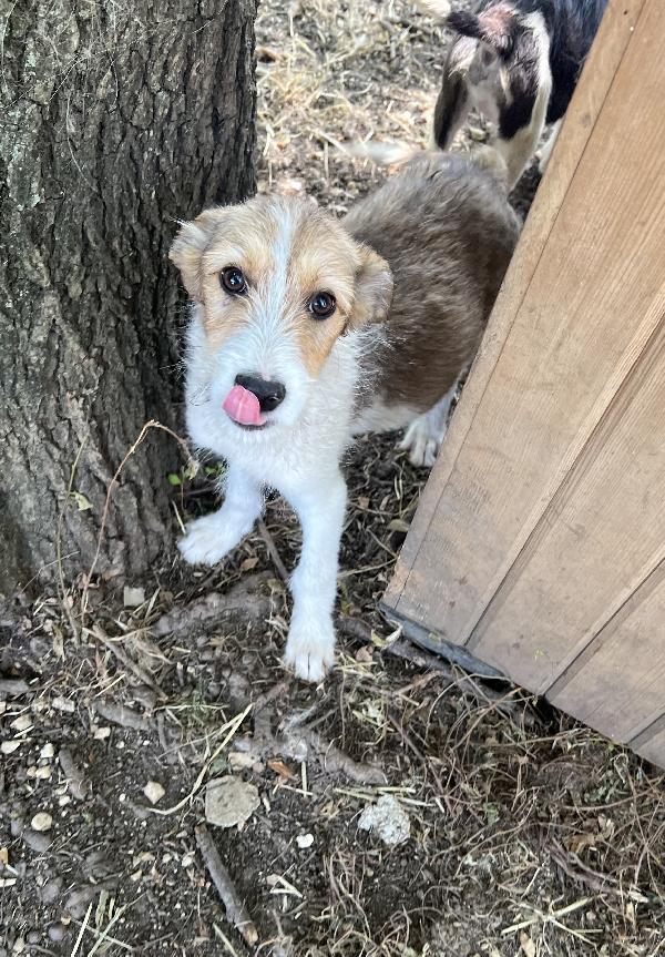 Bonnie e Evelyn  Foto 3