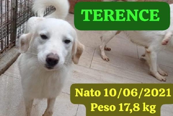 Fratello/Sorella 4Anni Tg Media Sos Calabria