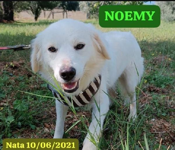 Fratello/sorella 4anni tg media SOS CALABRIA Foto 2