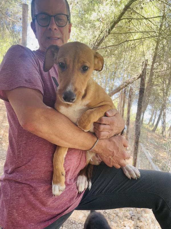 Cucciola Michela cerca casa  Foto 3