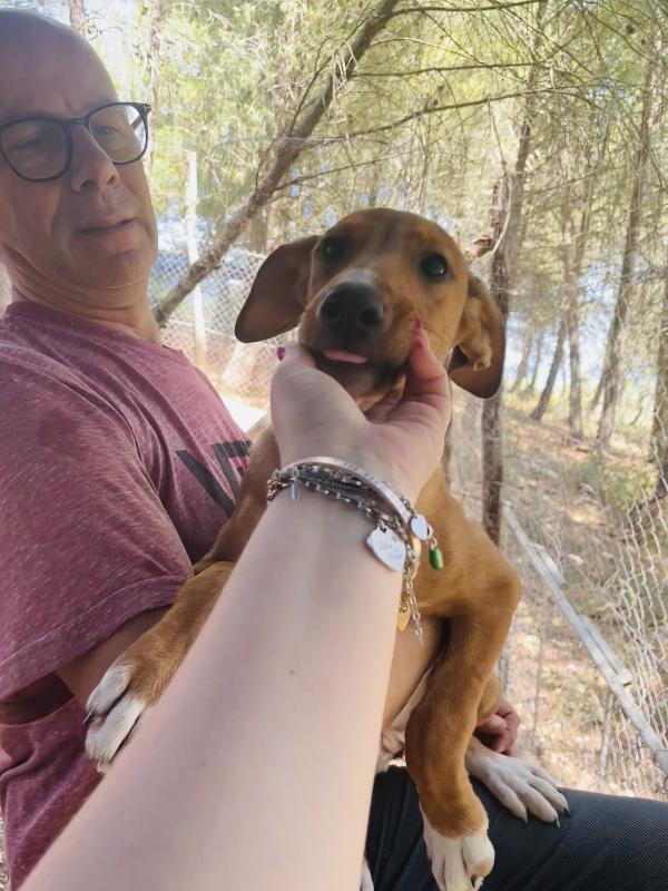 Cucciola Michela cerca casa  Foto 4