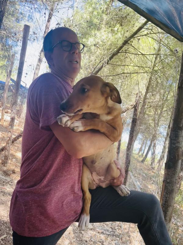Cucciola Michela cerca casa  Foto 5