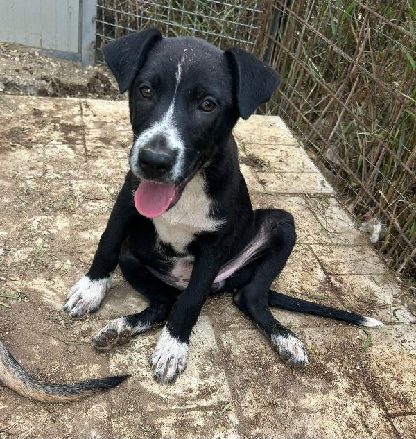 3mesi: nera e condannata  Foto 2