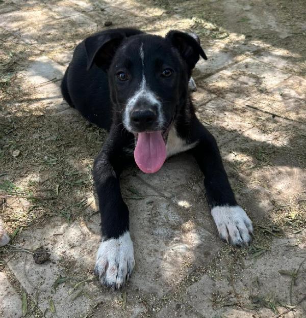 3mesi: nera e condannata  Foto 5